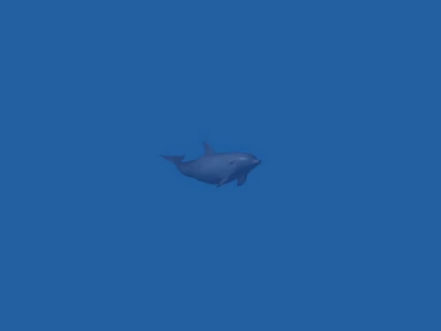 Dolphin