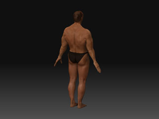 Human Male Model Rear