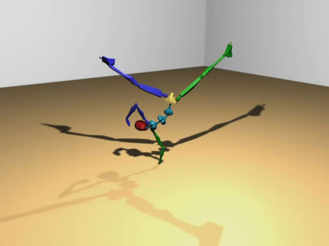 Motion Capture